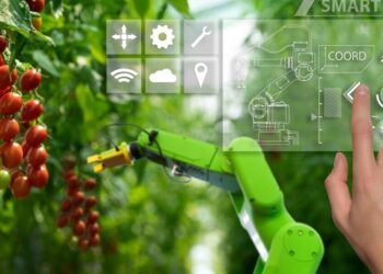 Dolina Rolnicza 4-0. Konferencja podsumowująca pierwszy etap projektu