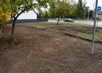 Zielone Suwałki – ruszyły pierwsze prace