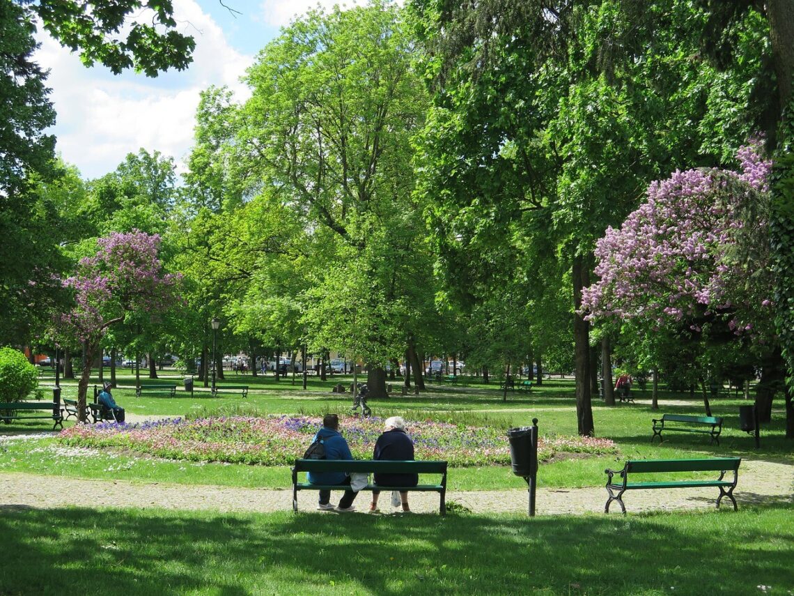 Portal informacyjny Suwałki