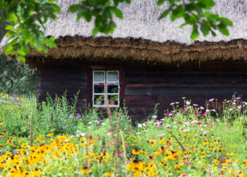 Filmowe sceny na Podlasiu cz. I