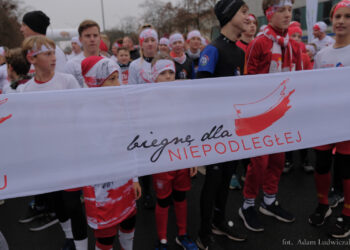 Organizacja ruchu 11 listopada