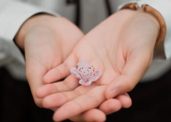 Dermabus przyjedzie do Suwałk