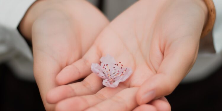 Dermabus przyjedzie do Suwałk