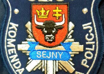 SAM ZGŁOSIŁ SIĘ DO DYŻURNEGO