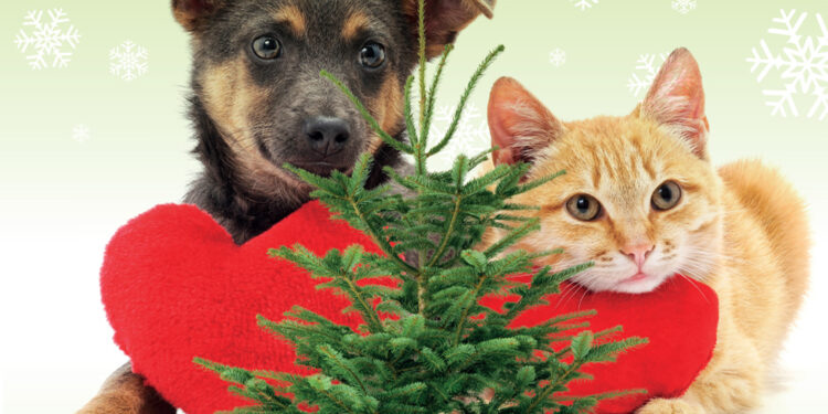 Wspieraj zwierzęta razem z Atrium Biała i odbierz choinkę!