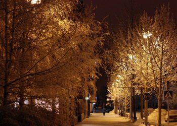 mandat za nieodśnieżony chodnik