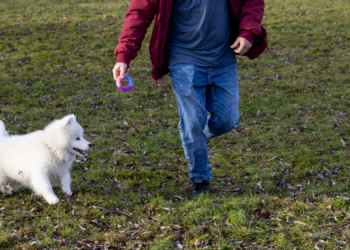 Savoir vivre na spacerach z psem: Jak być odpowiedzialnym właścicielem w przestrzeni publicznej.