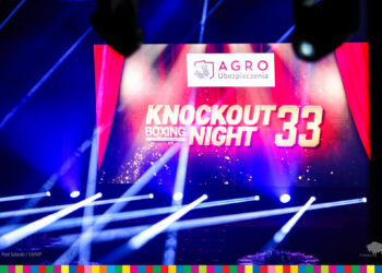 knockout Boxing Night