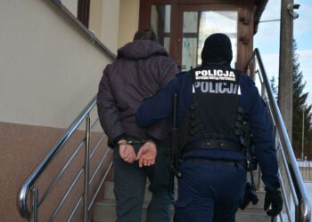 KOLEJNI POSZUKIWANI W RĘKACH POLICJANTÓW