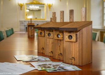 Budki dla ptaków w Białymstoku