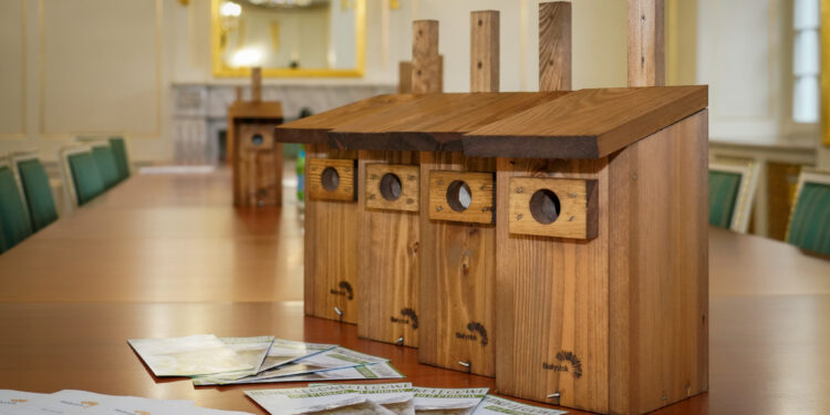 Budki dla ptaków w Białymstoku