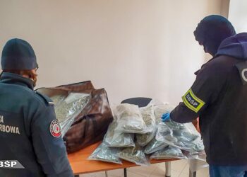 BLISKO 22 KG MARIHUANY BYŁO UKRYTE W KABINIE CIĘŻARÓWKI