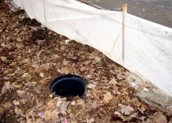 Płazy i gady Białegostoku