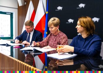 Plac zabaw w Wysokiem Mazowieckiem zostanie odnowiony i powiększony