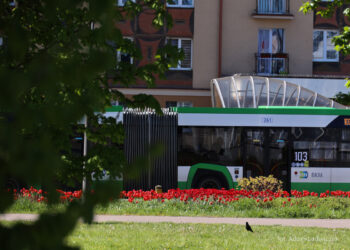 Nocna komunikacja miejska w Białymstoku