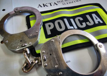 KOLEJNI POSZUKIWANI W RĘKACH POLICJANTÓW