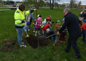 Ponad 200 nowych drzew w Suwałkach