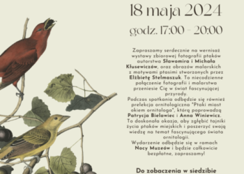 Noc Muzeów w KLANZIE - "Pióra, natura i kultura"