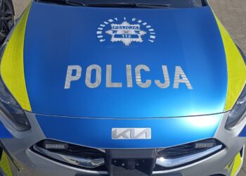 KOLEJNE POGRYZIENIE – PSY TO TYLKO ZWIERZĘTA, ZACHOWAJ OSTROŻNOŚĆ