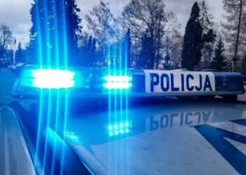 Kolejni kurierzy przewożący migrantów zatrzymani