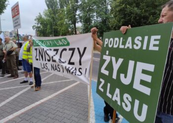 Protest Branży Drzewnej wsparł akcję leśników