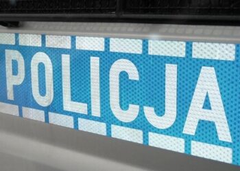 Znęcali się nad członkami rodziny – zostali zatrzymani