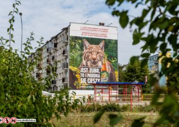  W Białymstoku powstał nowy mural