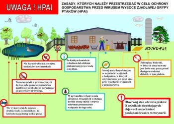 Uwaga - wysoce zjadliwa grypa ptaków w Polsce