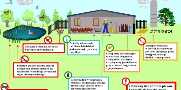 Uwaga - wysoce zjadliwa grypa ptaków w Polsce