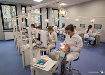 Absolwenci UMB ponownie w czołówce wyników LDEK-u