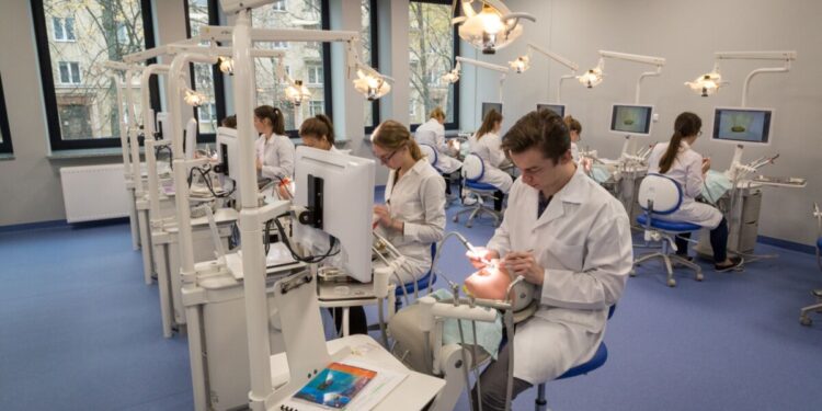 Absolwenci UMB ponownie w czołówce wyników LDEK-u