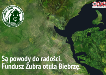 Fundusz Żubra otula Biebrzę zwiększając obszar ochronydzikiej przyrody