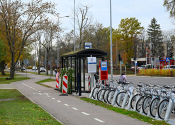 Zielone i stylowe – nowe przystanki w Białymstoku