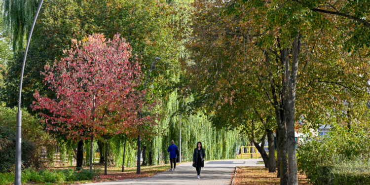 Jesień zawitała do Białegostoku