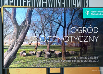 Sąsiedzkość natury w Białymstoku