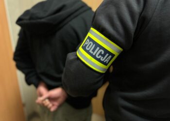 Oszust wyłudził ponad 50 tysięcy złotych - został zatrzymany