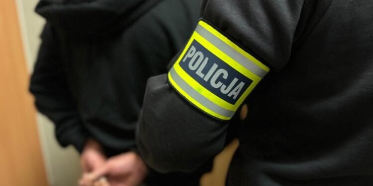 Oszust wyłudził ponad 50 tysięcy złotych - został zatrzymany