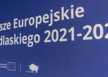 Trwa nabór wniosków na dofinansowanie projektów edukacyjnych na terenie Miejskiego Obszaru Funkcjonalnego Miasta Łomży