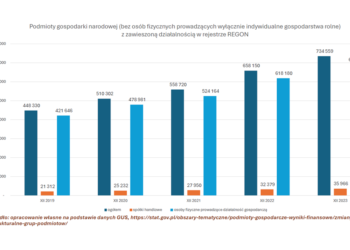 Góra urodziła mysz, czyli co się wydarzyło 29 października 2024 r. podczas posiedzenia RM ws. realizacji jednego ze „100 KONKRETÓW NA PIERWSZE 100 DNI RZĄDÓW!”
