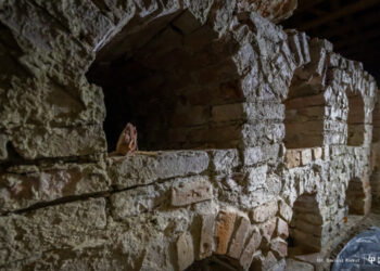 Politechnika Białostocka wspiera Monaster