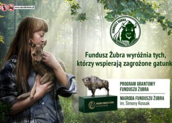 Startuje pierwsza edycja programu grantowego Funduszu Żubra