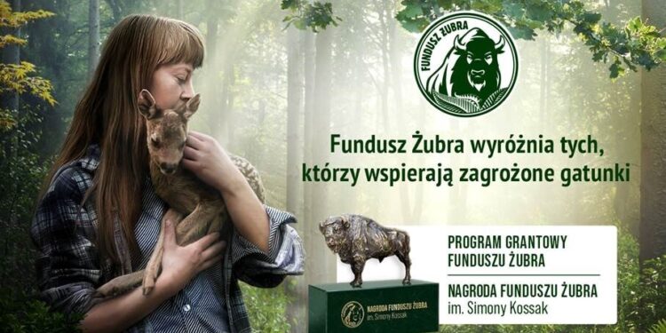 Startuje pierwsza edycja programu grantowego Funduszu Żubra