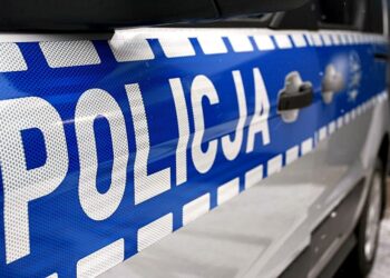 POSZUKIWANY WPADŁ NA KRADZIEŻY