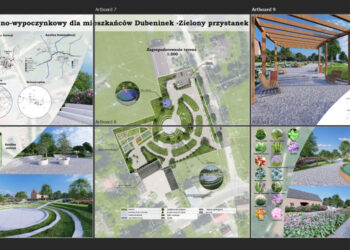 Studenci Wydziału Architektury Politechniki Białostockiej zaprojektowali park rekreacyjno-wypoczynkowy dla mieszkańców Dubeninek