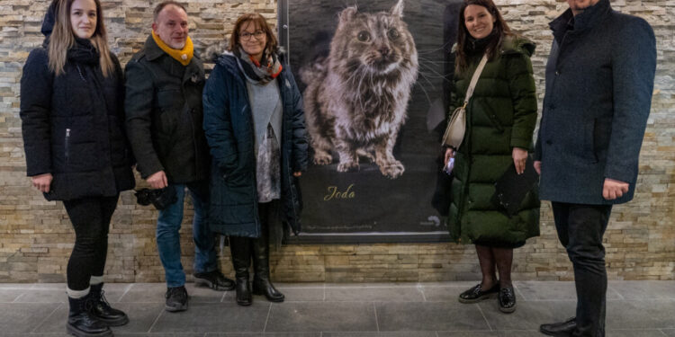 Luksus bezwarunkowej miłości