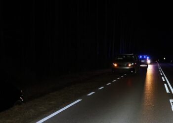 Seat uderzył w sarnę, a w seata nietrzeźwy kierowca toyoty