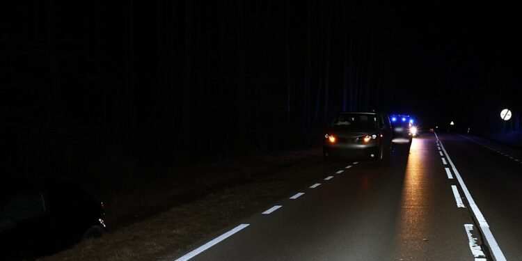 Seat uderzył w sarnę, a w seata nietrzeźwy kierowca toyoty