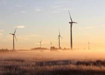 Rozwój czy stagnacja. Dlaczego nowe wynalazki od wieków budzą sprzeciw?