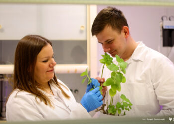 Agroekobiznes - nowy międzywydziałowy kierunek studiów I stopnia w Politechnice Białostockiej