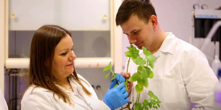 Agroekobiznes - nowy międzywydziałowy kierunek studiów I stopnia w Politechnice Białostockiej